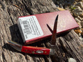 Case XX #00792 - Texas Toothpick/Small - Pocket Worn Old Red Bone Corn Cob Jig