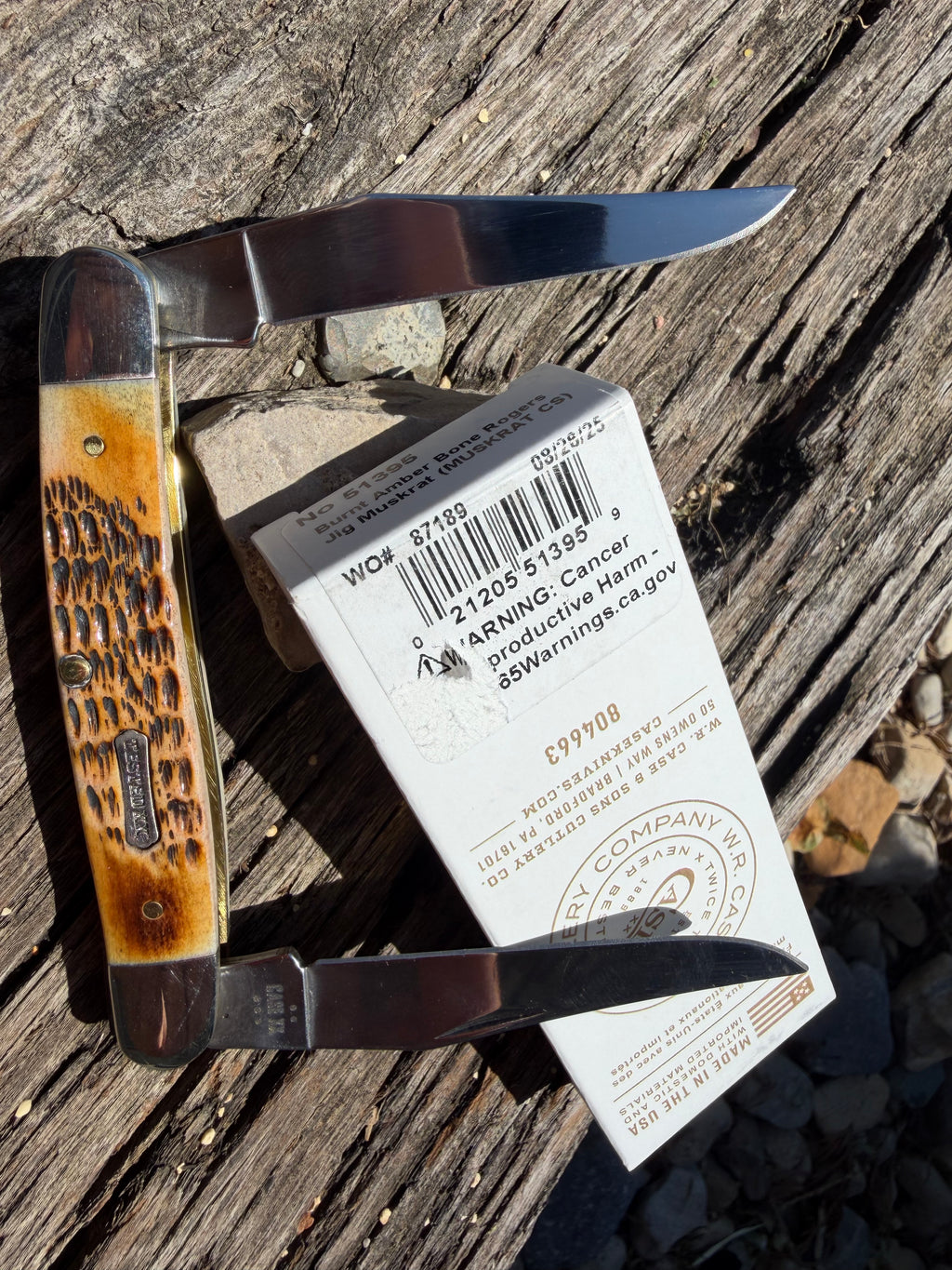 Case XX #51395 - Muskrat - Burnt Amber Bone - Dogbone Shield