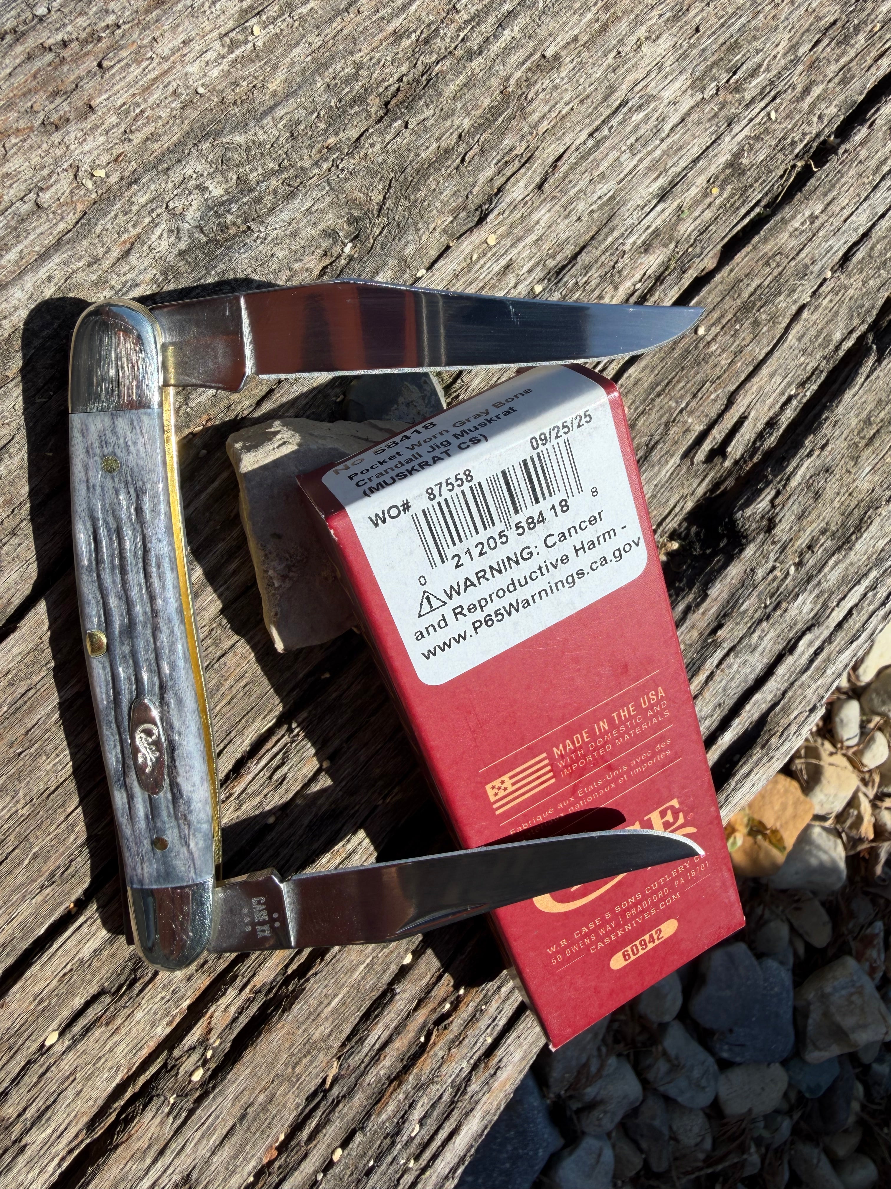 Case XX #58418 - Muskrat - Pocket Worn Gray Bone