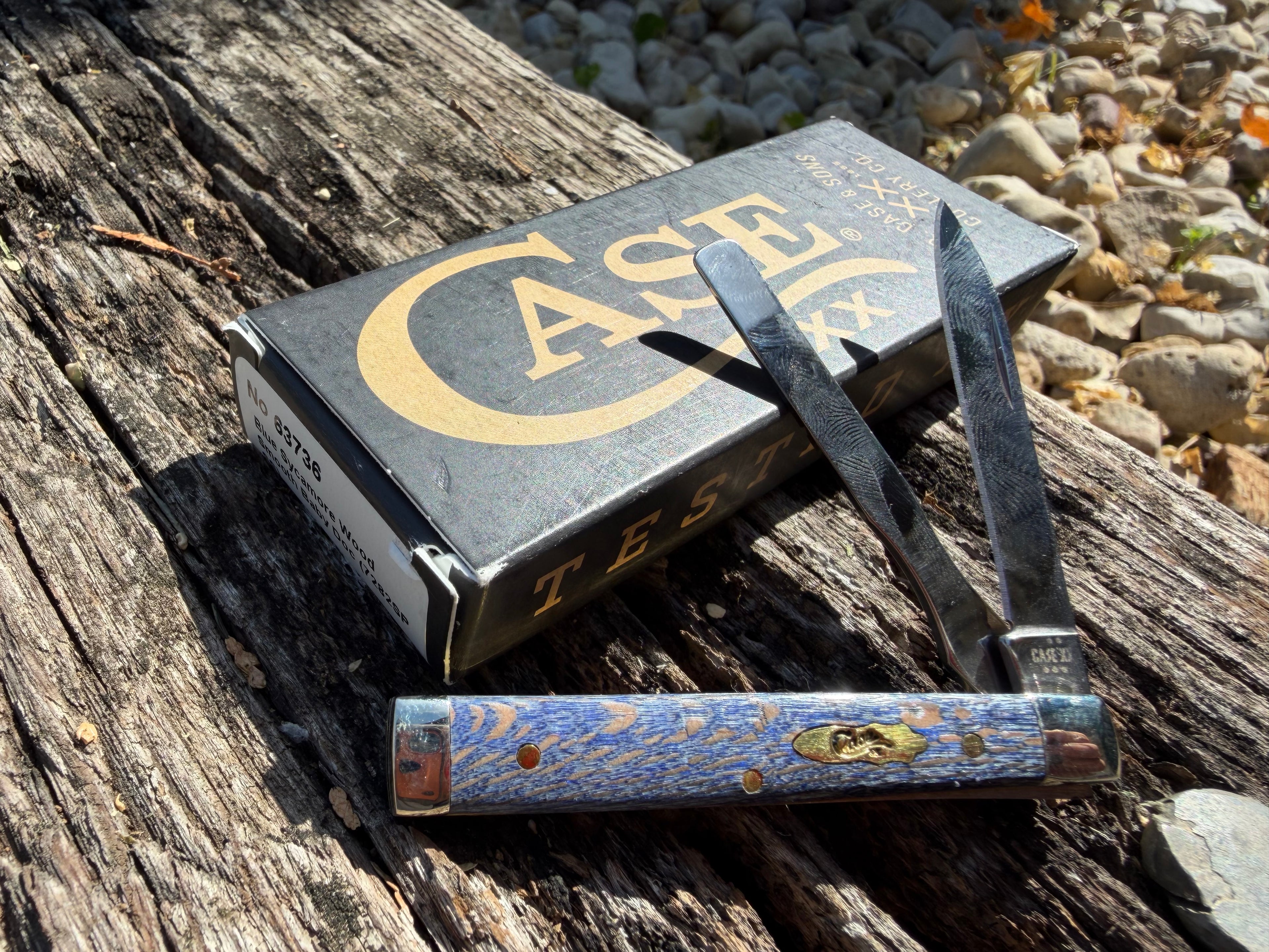 Case XX #63736 - Baby Doc - Blue Sycamore Wood Smooth - 2025 VAULT RELEASE