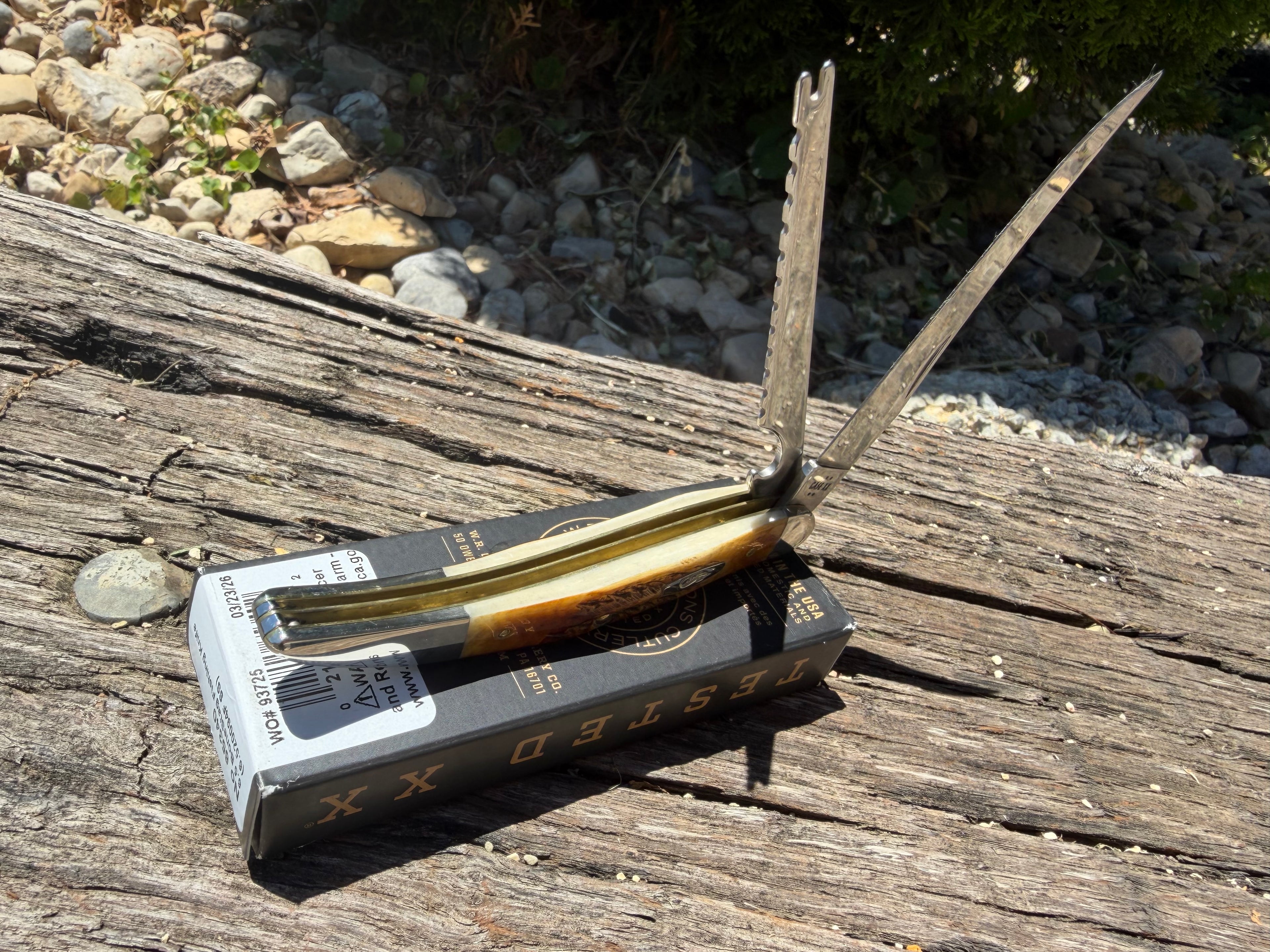Case XX #65340 - Fishing Knife - 6.5 Bone Stag